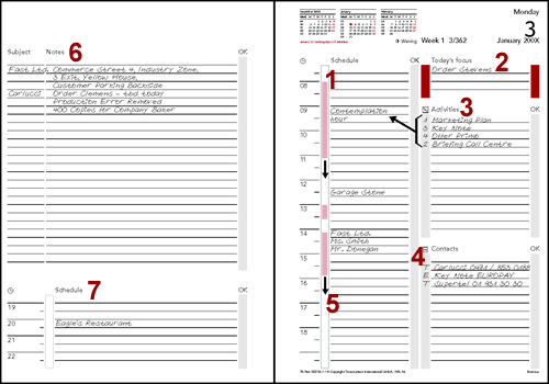 Daily Plan